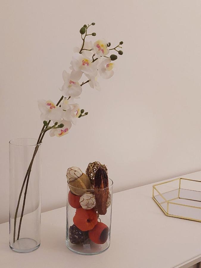 Conte Rosso Apartment ローマ エクステリア 写真